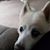 Ann Marie Defosse's profile image