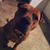 Samantha Stella-neely's profile image