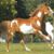 Katharina Schlosser's profile image