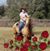 JoAnn Bennett-Mason's profile image