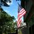 Frances Fisher Elder's profile image