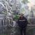 Savann Sok's profile image