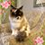 Linda Bourdage-Cavadeas's profile image