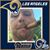 Benny Salvatore Jr.'s profile image