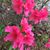 Judy Stokenberry's profile image