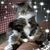 Sue Roudebush's profile image
