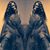 Lesslie W. Clark's profile image
