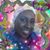 Evelyn Patton's profile image