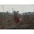 Geral Ferrer's profile image