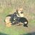 Wilma Upchurch's profile image