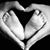 David M. Elsey's profile image