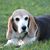 Jessica Hower's profile image