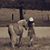 Terese Marie Odin's profile image