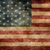 Amy Fields Bowman's profile image