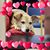 Deb Bassett's profile image