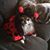 Sally Gausewitz Berry's profile image