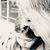 Julie Montgomery's profile image