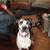 Regina Groppi's profile image