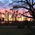 Sherrie Pitts's profile image