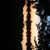 Rebecca Whitcomb's profile image