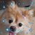 Lynda J Harvey's profile image