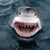 Mark Ingle's profile image