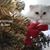Jennifer Greer Rogge's profile image