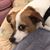 Odie Taylor's profile image