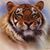 Karen Brooks's profile image