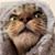 Keith Scarpelli's profile image