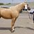 Teri Horinek's profile image