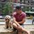 Peter Chiu's profile image