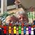 Lynn Hand's profile image