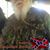 Gary Rister's profile image