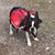 Cheryl DeGarmo's profile image