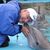 Dwayne Christoffel's profile image