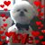 Sharlyn Bakken's profile image