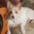 Shannon Smith Hinze's profile image