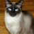 Leanna DeWild's profile image