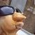 Luis Carlos Mendoza's profile image