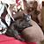Kimberly A Jackson-stoutenburg's profile image