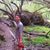 Kyle Gileck's profile image