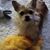 Karen M. Garcia's profile image