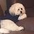 Robert Mann's profile image