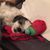 Stephanie Miville's profile image