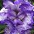 Mary Farris's profile image