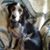 Terry Christenson's profile image
