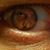 Kevin Krantz's profile image