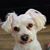 Betty Wilson's profile image