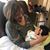 Karla Turnquist Axtell's profile image